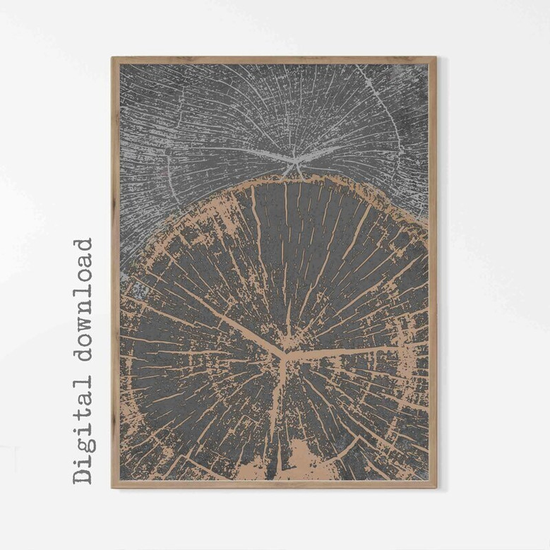 Nordic Tree Ring Canvas Set - 3 Modern Abstract Tree Stump Prints For Neutral Decor