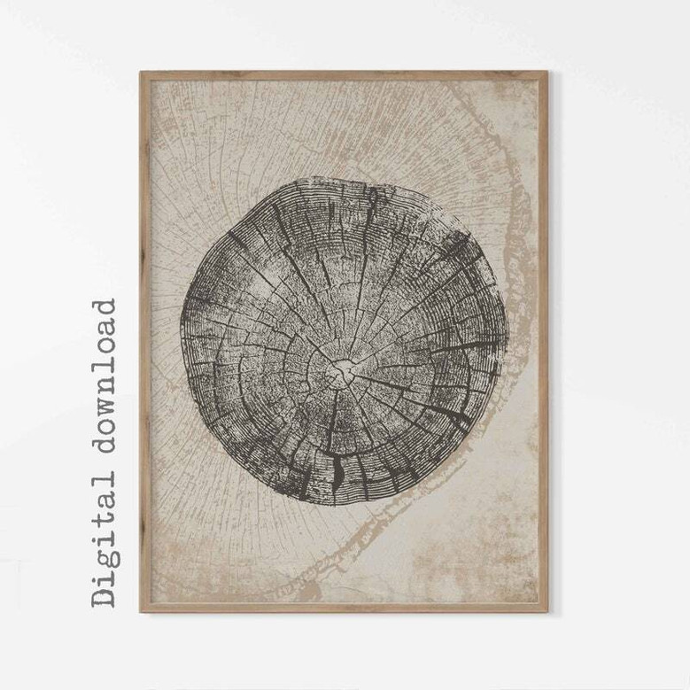 Nordic Tree Ring Canvas Set - 3 Modern Abstract Tree Stump Prints For Neutral Decor