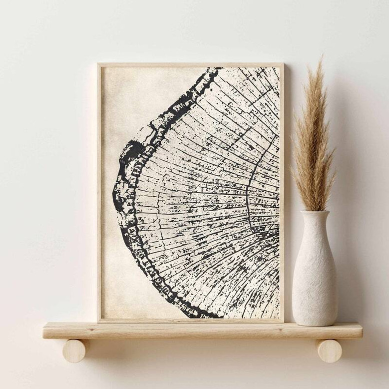 Nature-Inspired Tree Ring Canvas Set - 3 Neutral Prints For Living Room
