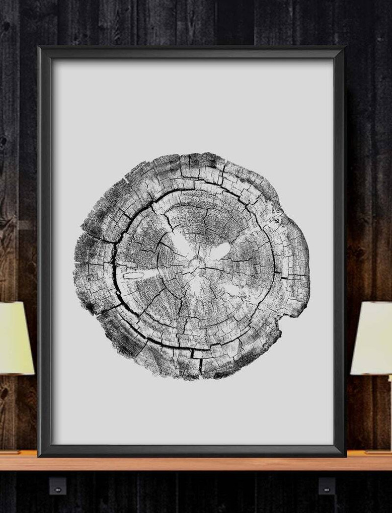 Tree Ring Canvas Prints Set - Stylish Black & White Wall DéCor For Living Room