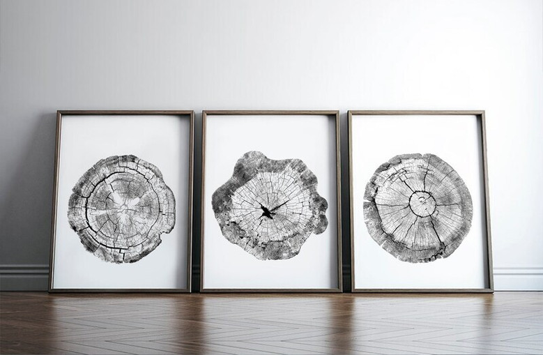 Tree Ring Canvas Prints Set - Stylish Black & White Wall DéCor For Living Room