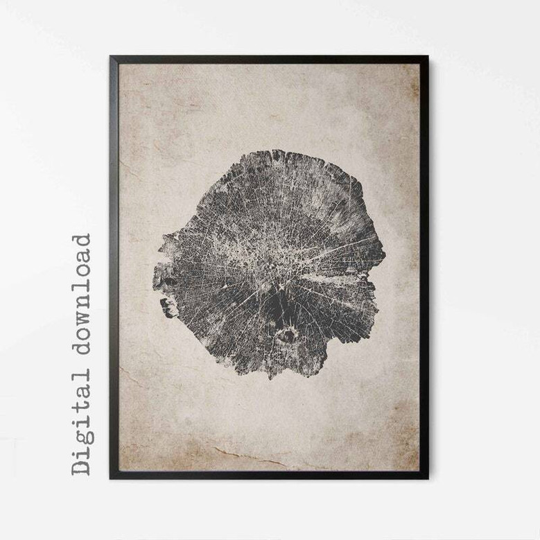 Tree Ring Canvas For Living Room - Nordic Abstract Wall Art DéCor