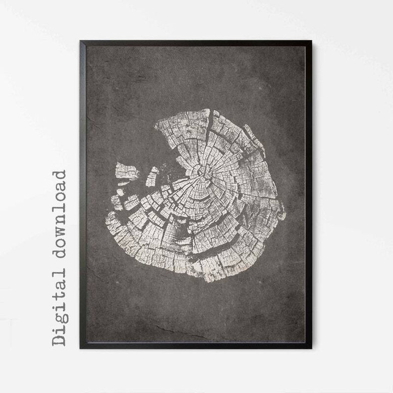 Tree Ring Canvas For Living Room - Nordic Abstract Wall Art DéCor