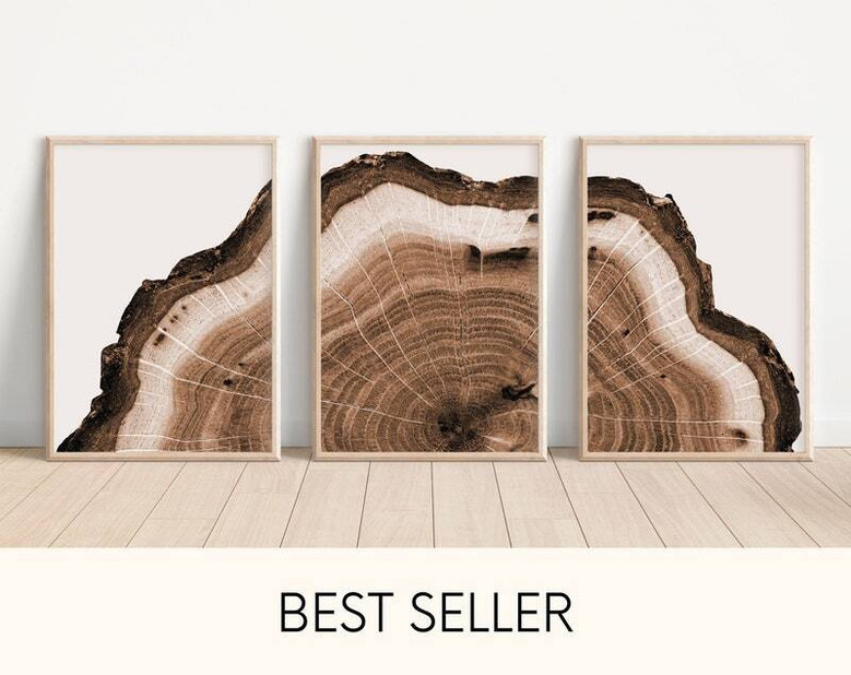 Tree Ring Canvas Art Set For Man Cave - Rustic 3-Piece Wall Decor