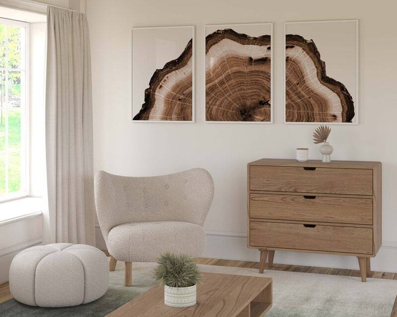 Tree Ring Canvas Art Set For Man Cave - Rustic 3-Piece Wall Decor