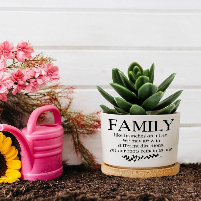 Family Like Branches on a Tree Ceramic Plant Pot – Inspirational Quote Planter with Tray, Succulent Pot Gift for Mom Dad or Siblings