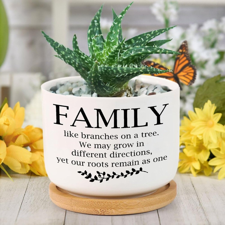 Family Like Branches on a Tree Ceramic Plant Pot – Inspirational Quote Planter with Tray, Succulent Pot Gift for Mom Dad or Siblings