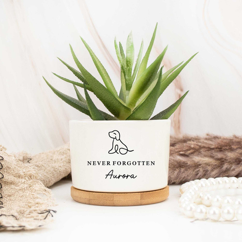 Personalized Pet Memorial Ceramic Plant Pot For Pet Lover - Sympathy Gift With Dog Paw Design