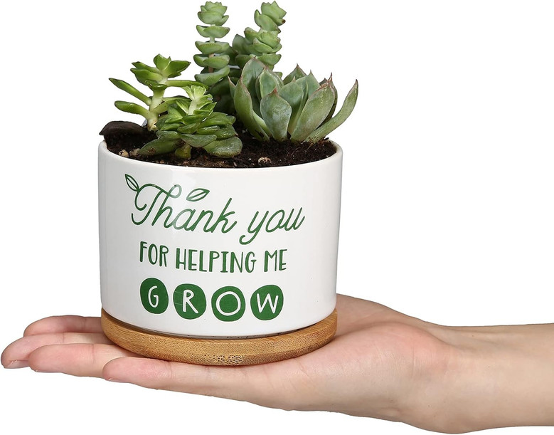 Thank You Teacher Plant Pot – Ceramic Succulent Planter Gift with “Helping Me Grow” Message