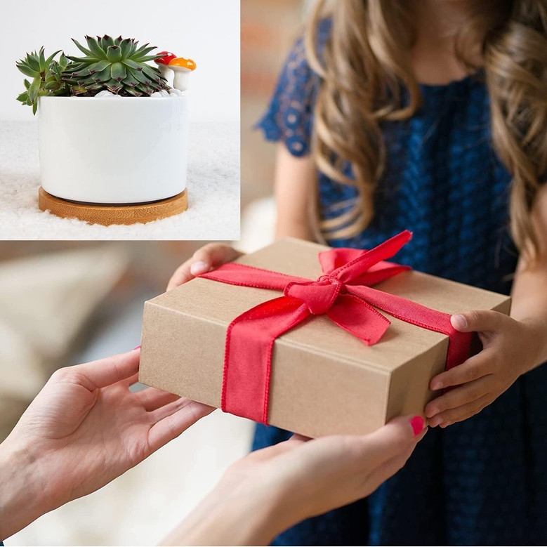 Touching Personalized Pet Memorial Plant Pot With Bamboo Tray Sympathy Gift For Pet Loss