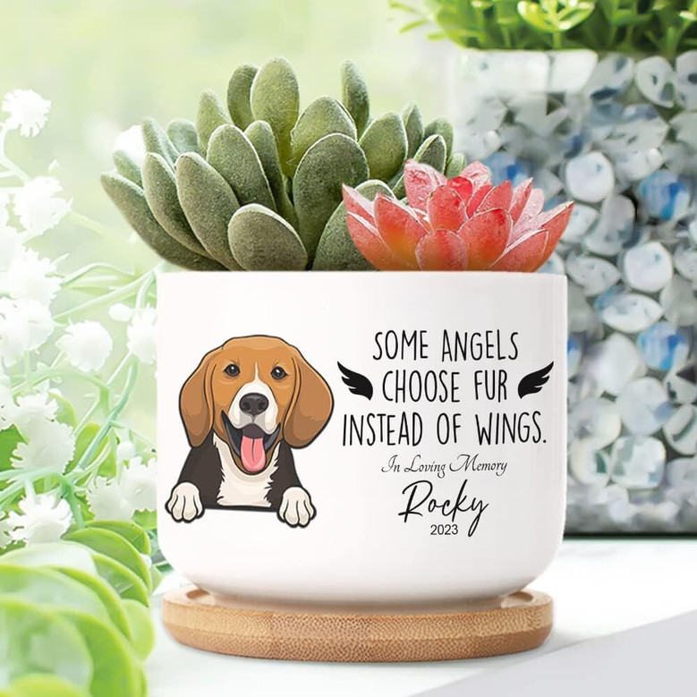 Touching Personalized Pet Memorial Plant Pot - Succulent Remembrance Gift With Bamboo Tray For Patio Or Garden