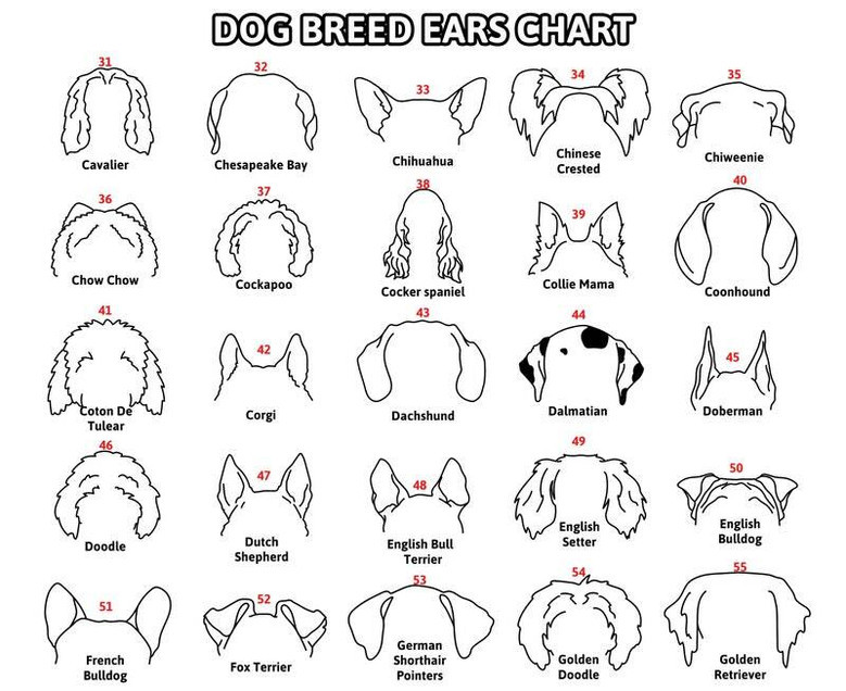 Personalized Pet Memorial Wooden Signs Featuring Dog Ears Line Drawing For Heartfelt Dog Memorial Gift