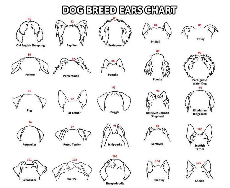 Personalized Pet Memorial Wooden Signs Featuring Dog Ears Line Drawing For Heartfelt Dog Memorial Gift