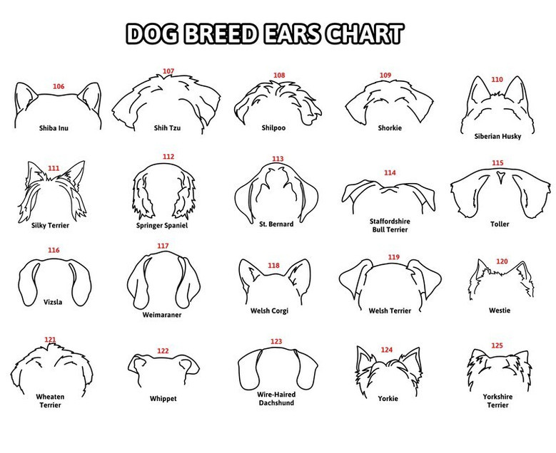 Personalized Pet Memorial Wooden Signs Featuring Dog Ears Line Drawing For Heartfelt Dog Memorial Gift