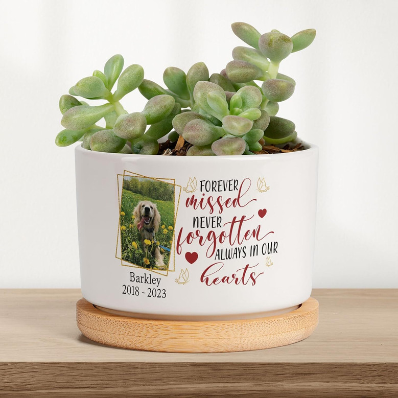 Personalized Pet Memorial Plant Pot - Custom Dog Photo & Name Planter, Perfect Sympathy Gift For Dog Lovers' Home Or Office Decor