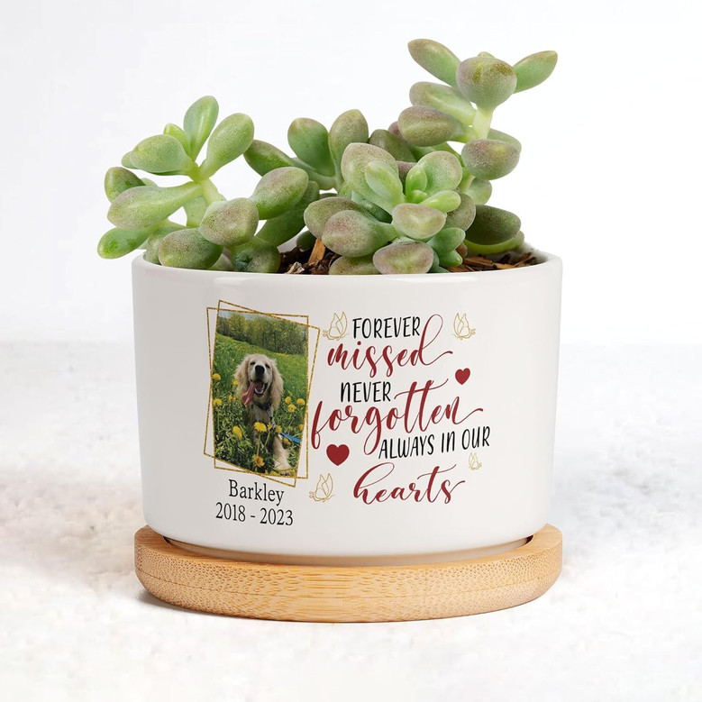 Personalized Pet Memorial Plant Pot - Custom Dog Photo & Name Planter, Perfect Sympathy Gift For Dog Lovers' Home Or Office Decor
