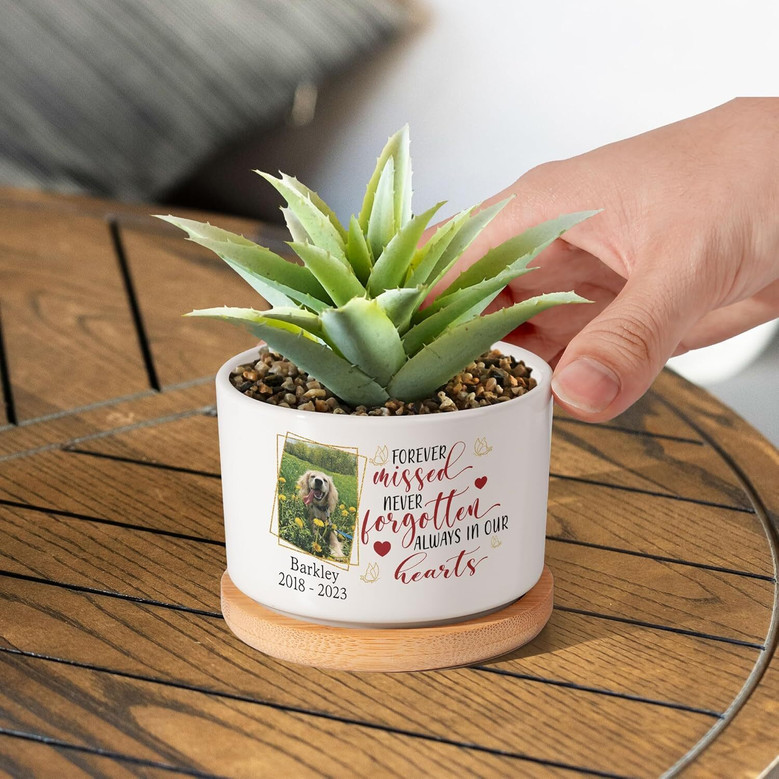 Personalized Pet Memorial Plant Pot - Custom Dog Photo & Name Planter, Perfect Sympathy Gift For Dog Lovers' Home Or Office Decor