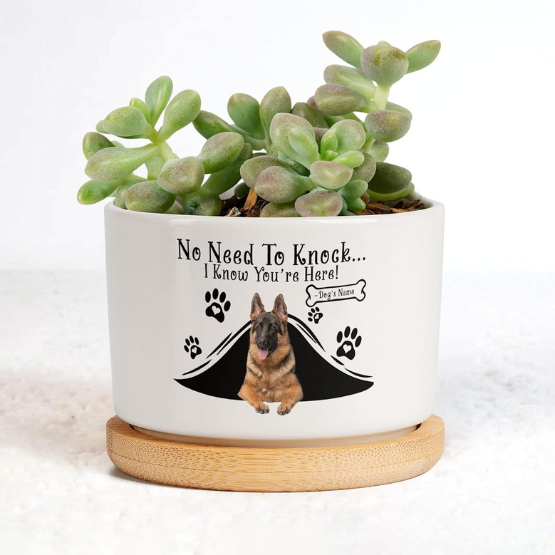 Custom Dog Photo Planter Pot - Sympathy Tribute Gift For Dog Moms And Dads - Office Or Garden Memorial Decor