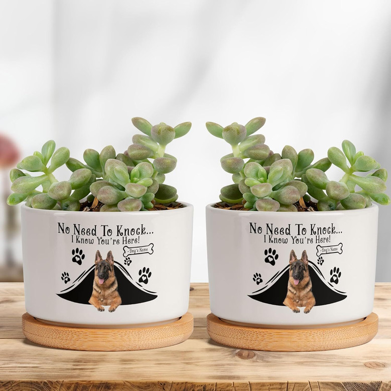 Custom Dog Photo Planter Pot - Sympathy Tribute Gift For Dog Moms And Dads - Office Or Garden Memorial Decor