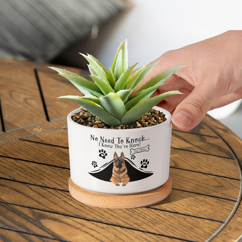 Custom Dog Photo Planter Pot - Sympathy Tribute Gift For Dog Moms And Dads - Office Or Garden Memorial Decor