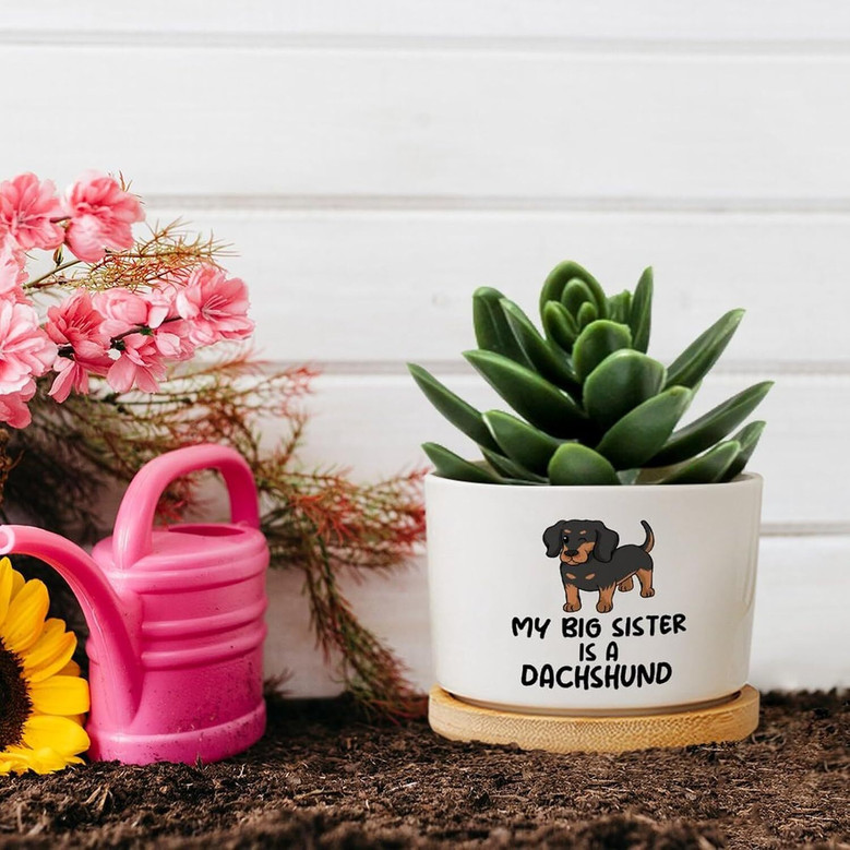 Thoughtful Personalized Pet Memorial Dachshund Ceramic Planter For Indoor Plants – Ideal For Animal Lovers