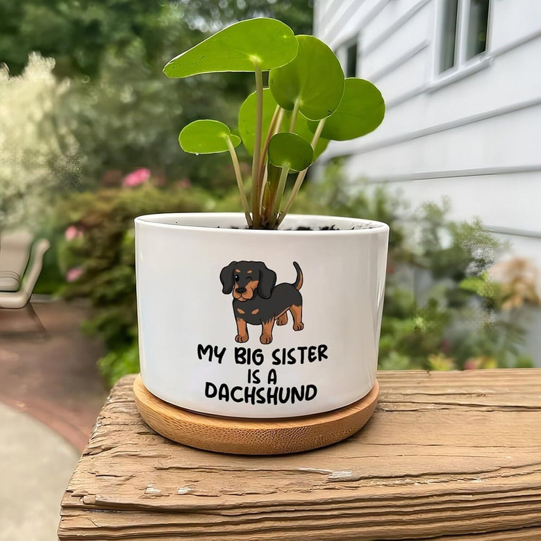 Thoughtful Personalized Pet Memorial Dachshund Ceramic Planter For Indoor Plants – Ideal For Animal Lovers