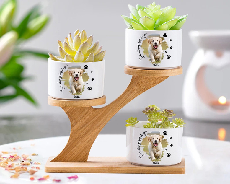 Personalized Pet Memorial Plant Pot and Bamboo Tray | Forever Loved Sympathy Gift for Pet Owners