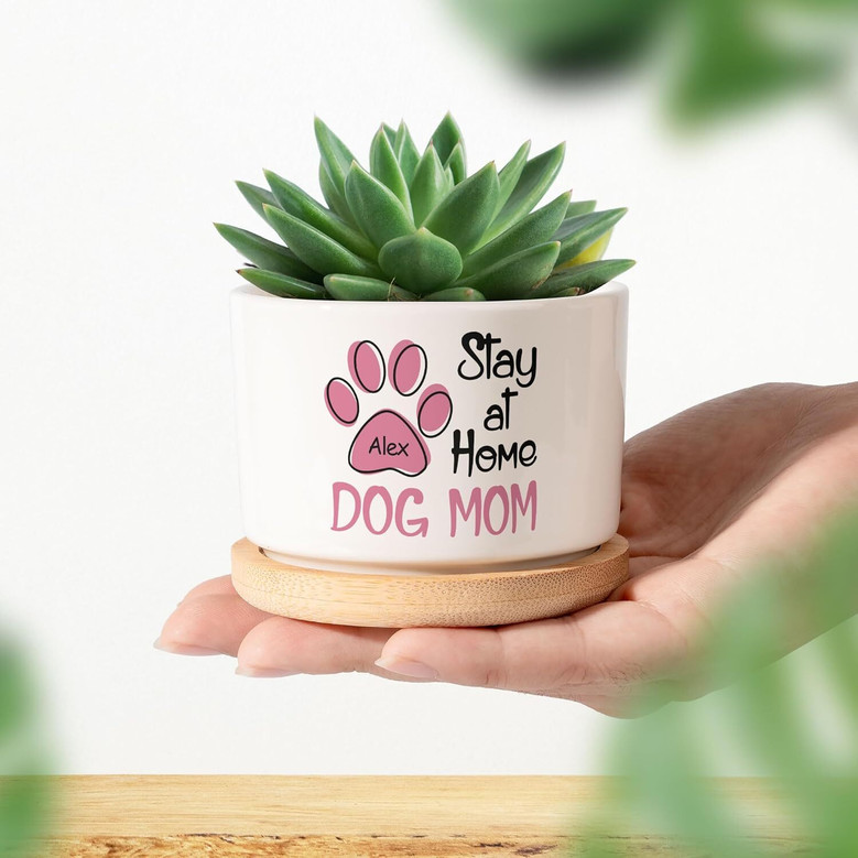 Heartfelt Personalized Pet Memorial Plant Pot With Dog Photo - Sympathy Gift For Dog Moms And Dads In Home And Office Decor
