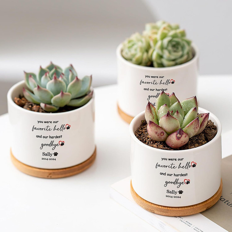 Custom Pet Memorial Plant Pot With Name & Date - Indoor Succulent Flower Pot With Bamboo Tray - Sympathy Gift For Dog & Cat Lovers