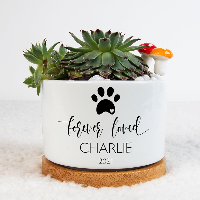 Heartfelt Personalized Pet Memorial Plant Pot With Bamboo Tray - Sympathy Gift For Dog Loss