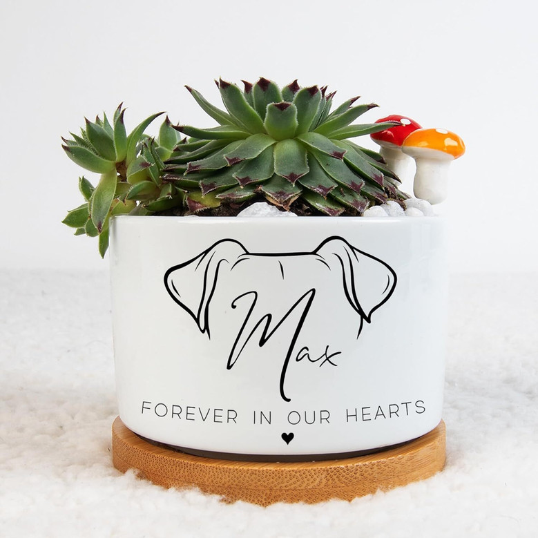 Thoughtful Personalized Pet Memorial Plant Pot With Bamboo Tray For Home And Garden