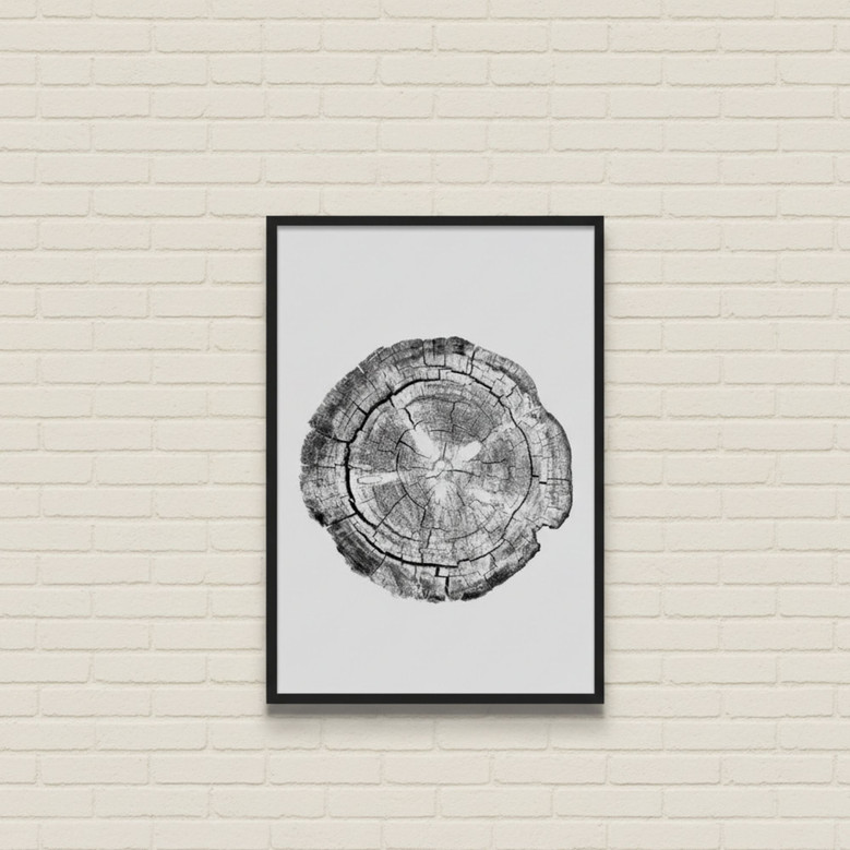 Tree Ring Canvas Prints Set - Stylish Black & White Wall DéCor For Living Room