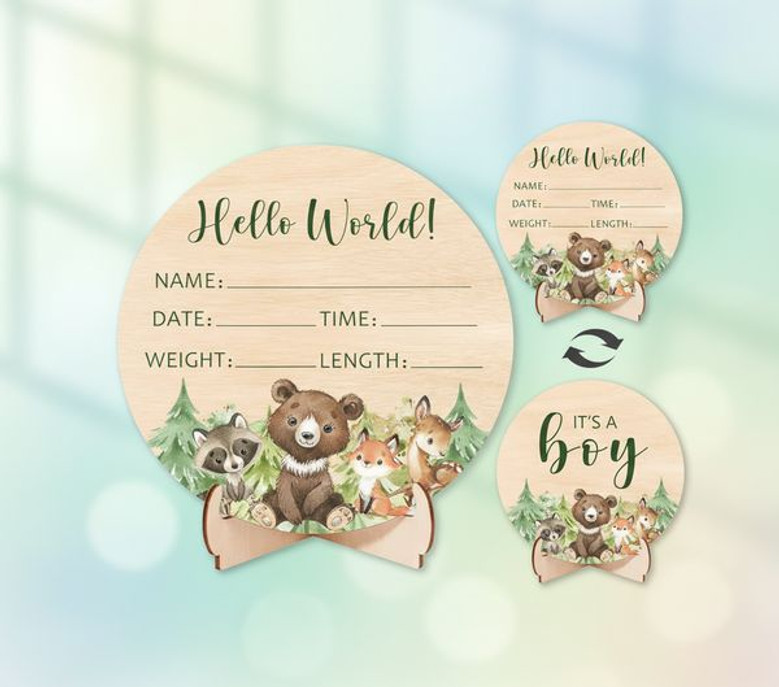 Kawaii Wild Woodland Animal Welcome Nursery Round Wood Sign
