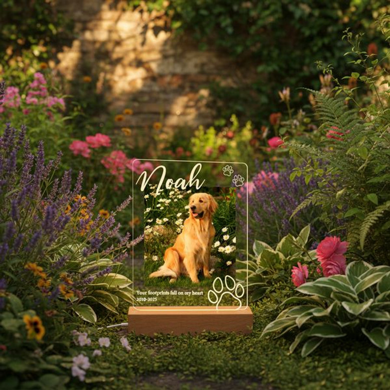 Personalized Pet Memorial Night Light Custom Photo Loss Gift Personalized Pet Memorial Night Light Custom Photo Loss Gift