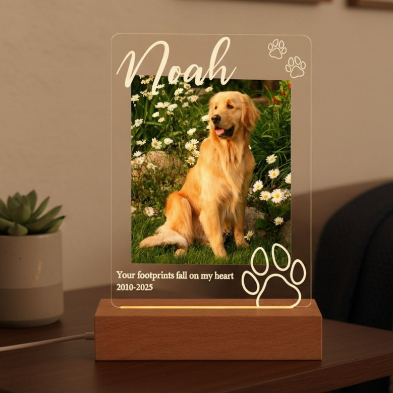 Personalized Pet Memorial Night Light Custom Photo Loss Gift Personalized Pet Memorial Night Light Custom Photo Loss Gift