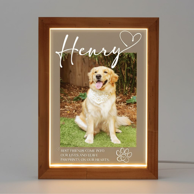 Honoring Furry Friends Custom Pet Photo Frame Lamp Memorial