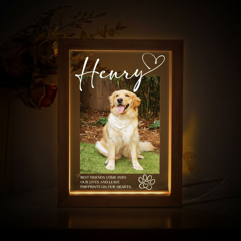 Honoring Furry Friends Custom Pet Photo Frame Lamp Memorial