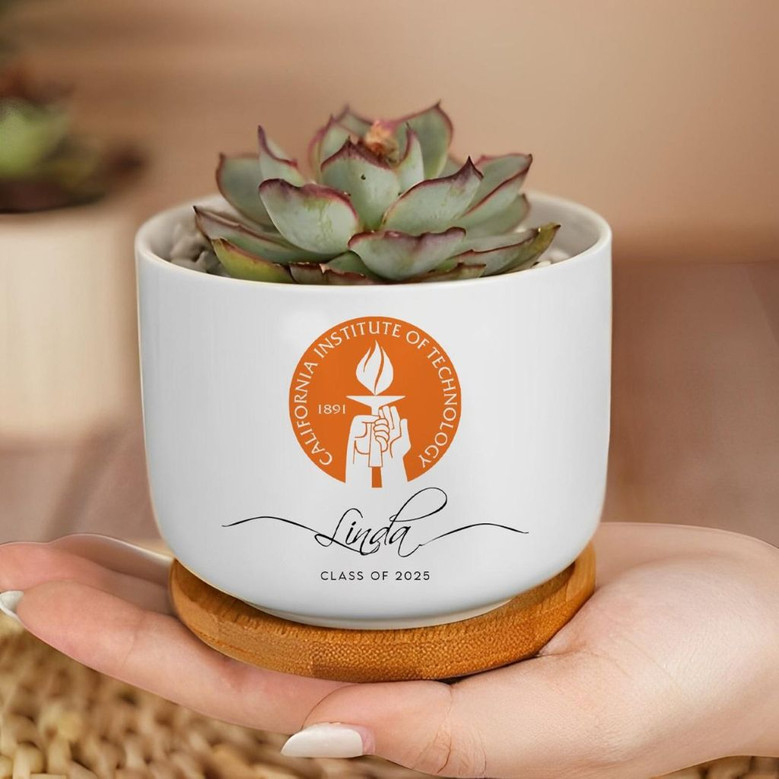 University Pride 2025 Custom Logo Ceramic Plant Pot for Her