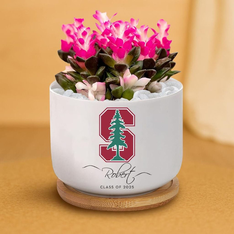University Pride 2025 Custom Logo Ceramic Plant Pot for Her