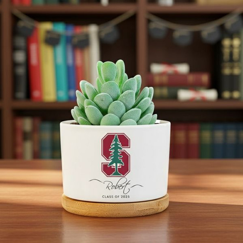 University Pride 2025 Custom Logo Ceramic Plant Pot for Her