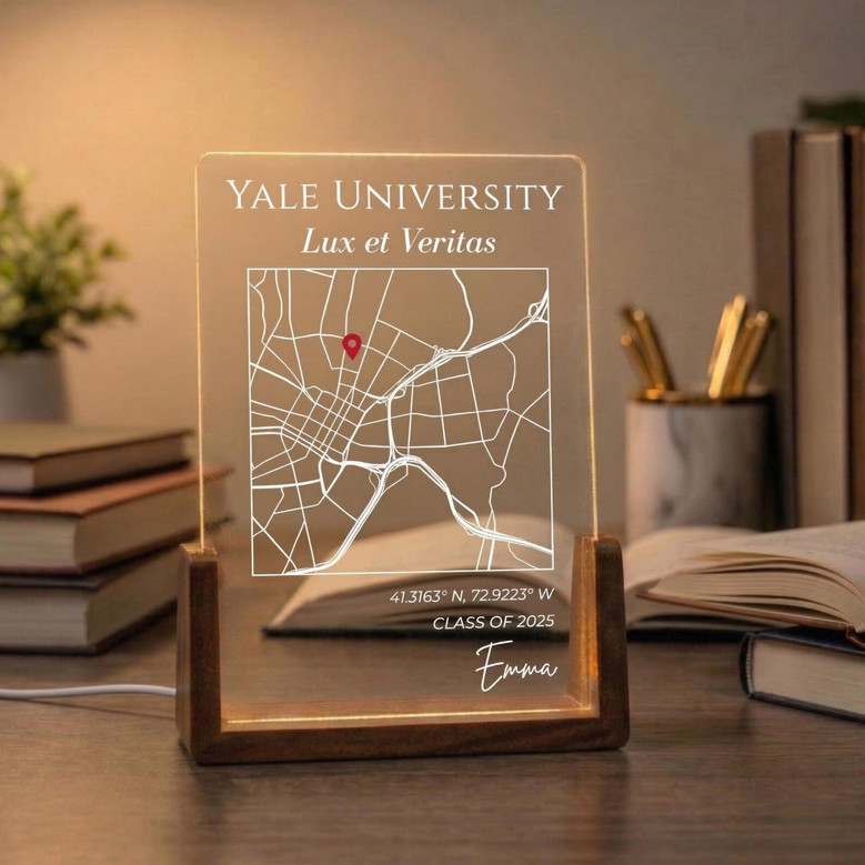 Map Your Success Custom 2026 College LED Night Light