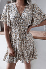 Spring New Stylish Batch Printing V-Neck Inelastic Pleated Casual Mini Dress