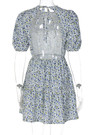 Summer New Stylish Floral Batch Printing Micro Elastic Lace-Up Backless Puff Sleeves Sexy Mini Dress