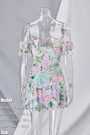 Summer New Stylish Mesh Stretch Flower Batch Printing Off-The-Shoulder Backless Sexy Mini Dress Dresses