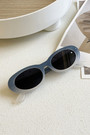 One Pc New Stylish Four Colors Round Shape Plastic Small Frame Glasses Legs Polarized Uv Protection Sunglasses