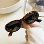 One Pc New Stylish Four Colors Round Shape Plastic Small Frame Glasses Legs Polarized Uv Protection Sunglasses