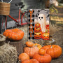 Halloween Welcome Garden Flag 12x18 Inch Double Sided Halloween Pumpkin Garden Flag White Ghost O Lantern Pumpkin Yard Flags Halloween Garden Decor For Outside