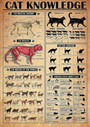 Tin Sign Metal Cat Knowledge Poster Cat Skeletal Anatomy Cat Muscles Cat Breeds Of The World Cat Information Cat Poster Metal Sign Vintage Wall Art Home Ofiice Bar Club Decoration