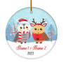 Personalized Owl Brother or Sister Christmas Ornament for Siblings Little Brother Sister with Names Customized Christmas Tree Ornament