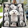 Bichon Frise Throw Blanket Fuzzy Dogs Blanket Kids Adults Cute Puppy Fleece Blanket Bichon Frise Gifts for Women